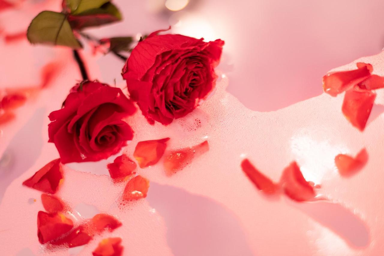 Romanticky Wellness Suite Hotel Heinz 도브리스 외부 사진